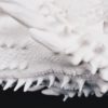 PLA 2kg White - Filament PM