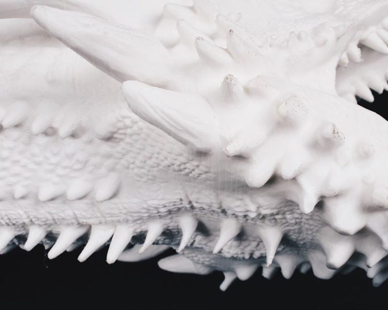 PLA 2kg White - Filament PM - Image 3