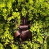 PLA 1kg Prusament Mystic Brown - Prusa Original