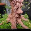 PLA Timberfill 750g  Cinnamon - Fillamentum