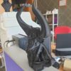 PLA EVOLT EASY 1kg Preto - Evolt