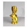 PLA 50g (Amostra) Silk Gold - Azurefilm
