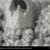 CPE_HG100-portugal-espana-evolt-impressao-3d (30)