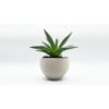 PLA 750g Purifier - RECREUS
