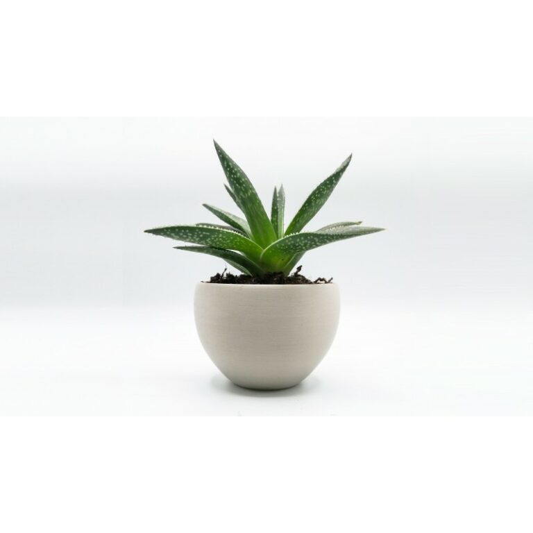 PLA 750g Purifier - RECREUS - Image 2