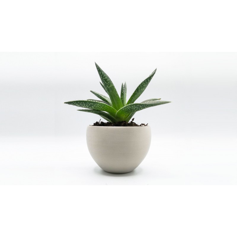 PLA 750g Purifier - RECREUS - Image 2