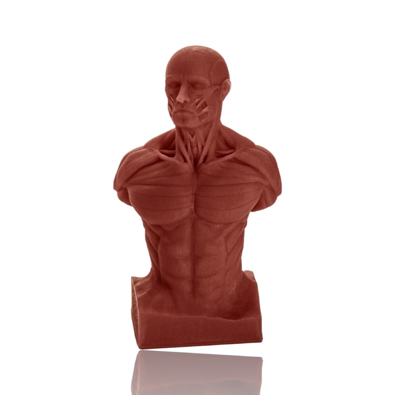 Pack Peças de Amostras da Original Prusa Impressora 3D Resina SL1S resin sample prints - Prusa Original - Image 4