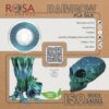 PLA Rainbow Silk 800g Jungle - Rosa3D