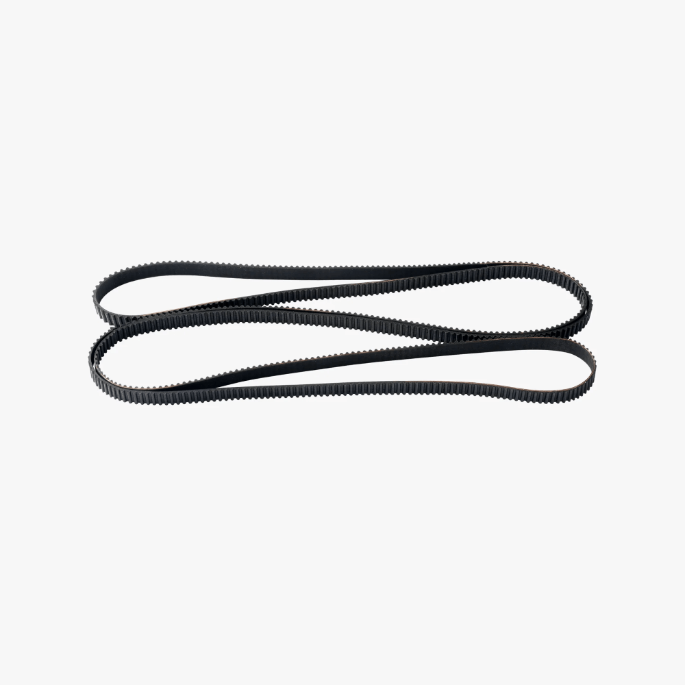 Z Belt_-Portugal-Evolt