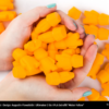 PLA_Extrafill_Melon_Yellow_Martin_B.Filla_Fella_1-Portugal-Espana-Evolt-Impressao-3D