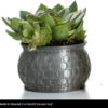 PLA 750g Extrafill Volcanic Dust - Fillamentum