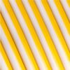 Panchroma™ PLA Dual Silk 1kg Crown (Gold-Silver) - Polymaker