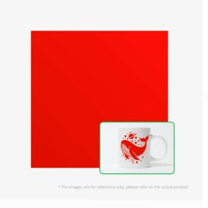 B-YG012-Photoroom (WEBSITE EVOLT)