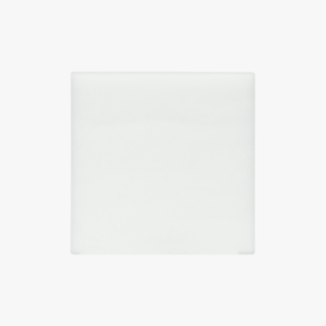 SLA010 (WEBSITE EVOLT)