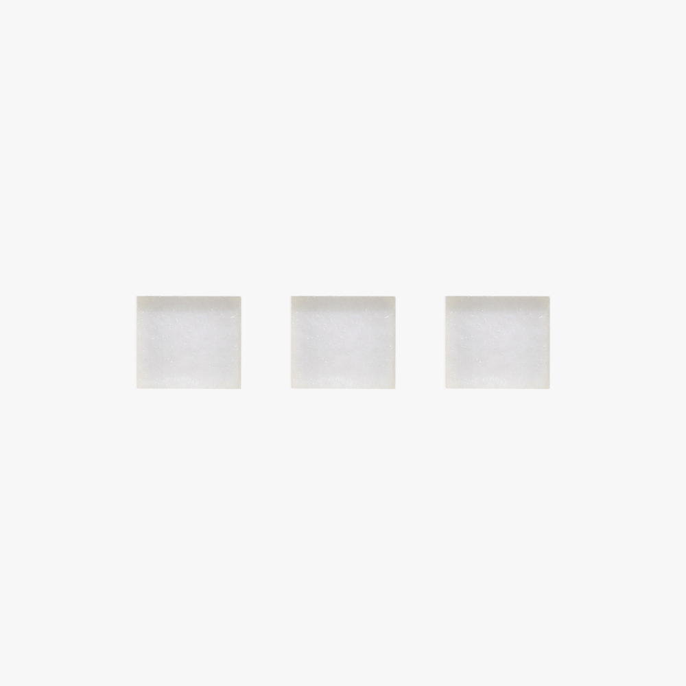 FAC131 (WEBSITE EVOLT)